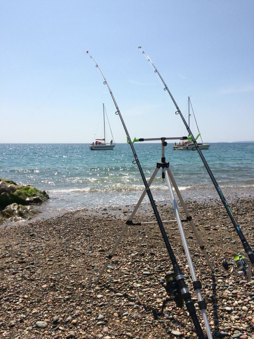 Canne da pesca sulla riva con il mare e le barche sullo sfondo